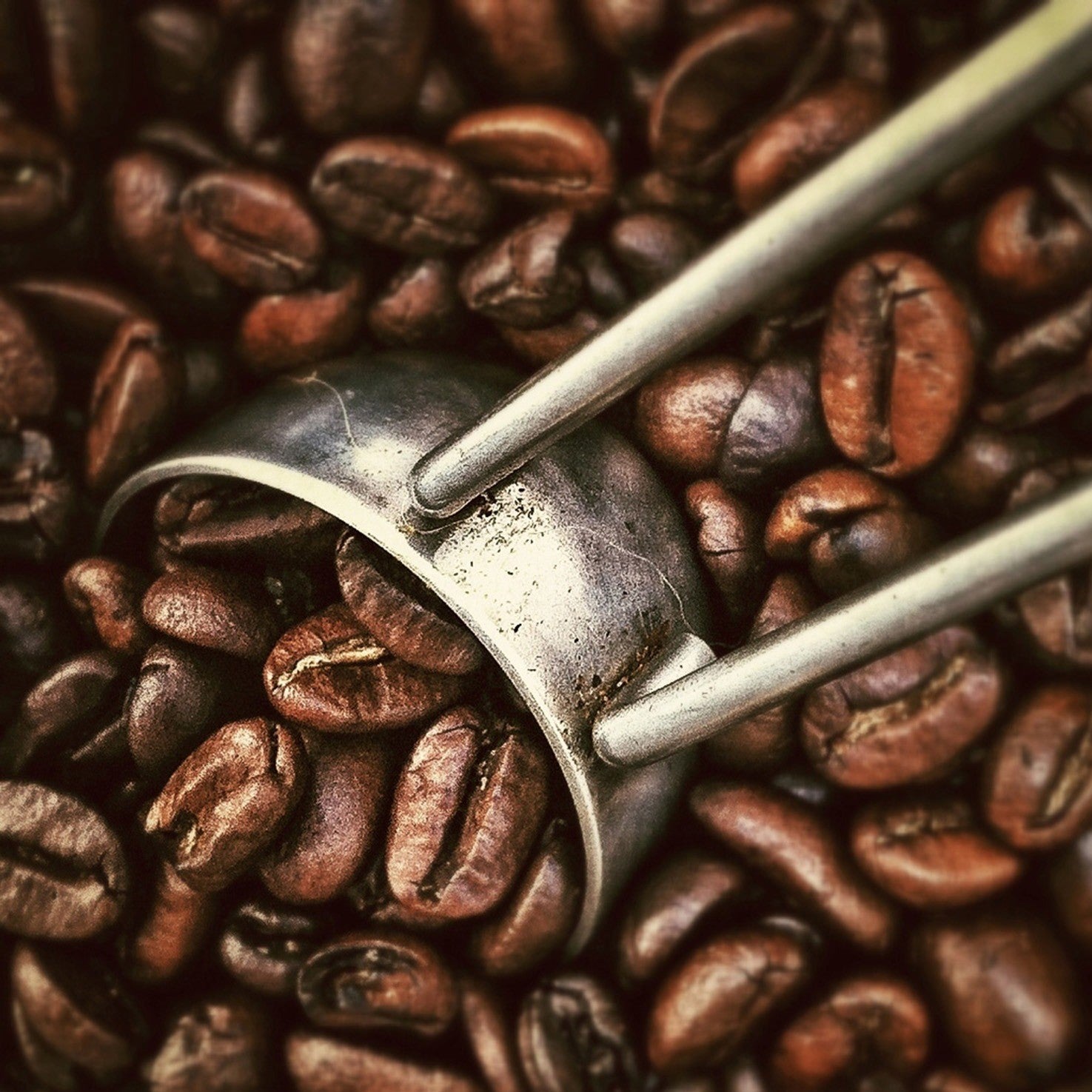 The Sandhill Coffee Roasting Process