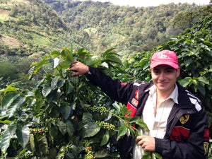 Sandhill Coffee Community: Gold Mountain Coffee Growers