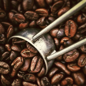 The Sandhill Coffee Roasting Process